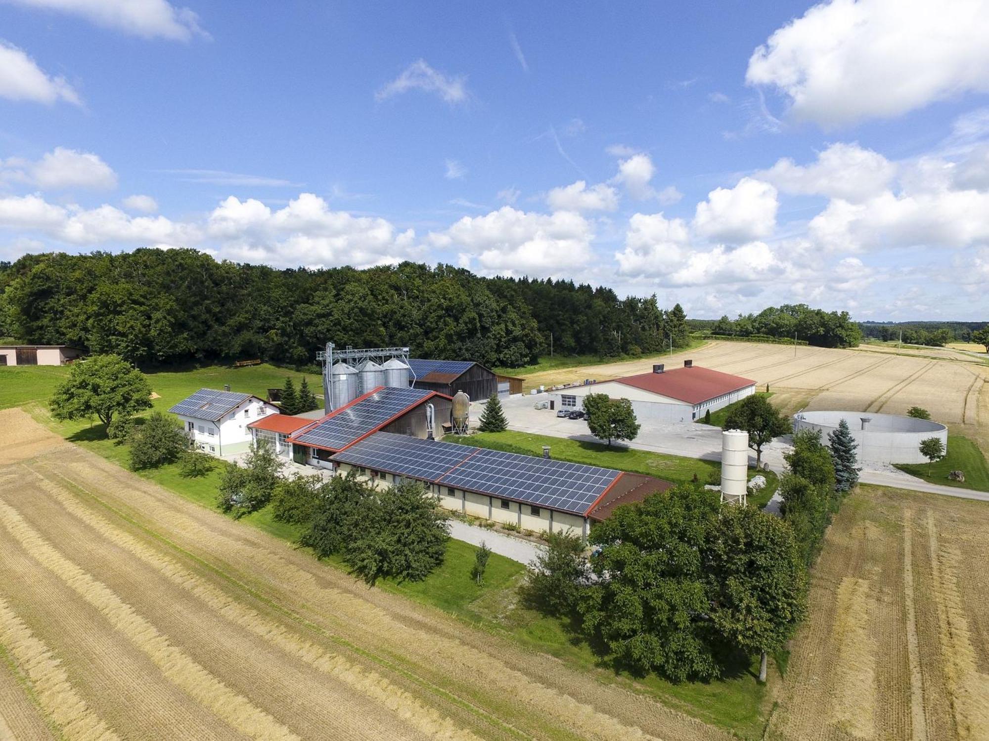 Hof Am Horn - Fewos In Der Appartement *